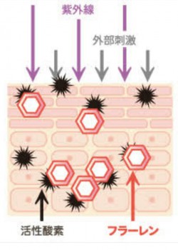 ●紫外線対策●