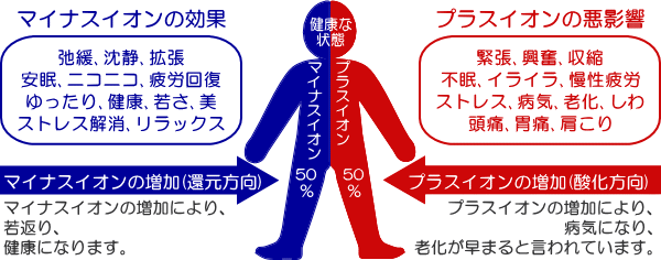 酸化と還元…どこかで習ったような