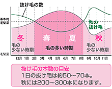 サムネイル：●そんなに●