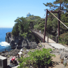 サムネイル：三島市　美容室　地元