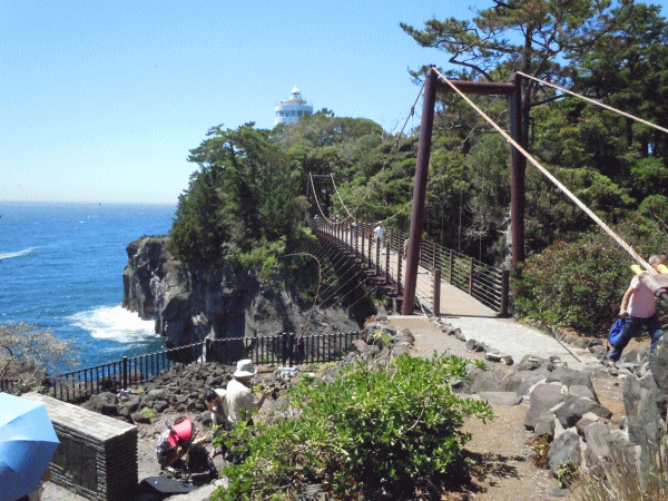 三島市　美容室　地元