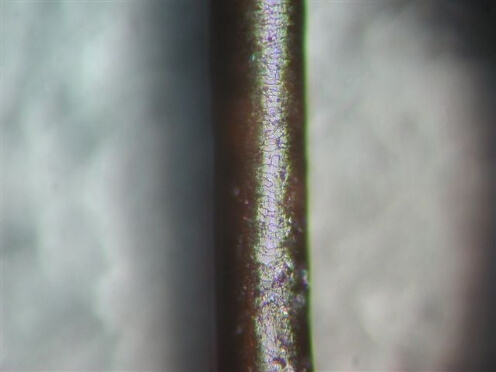 アイロンや薬剤で炭化しかけている毛髪の顕微鏡写真